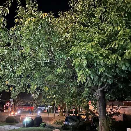 Hotel Sonnenhof Sindelfingen